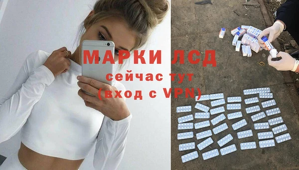 прущие грибы Волосово