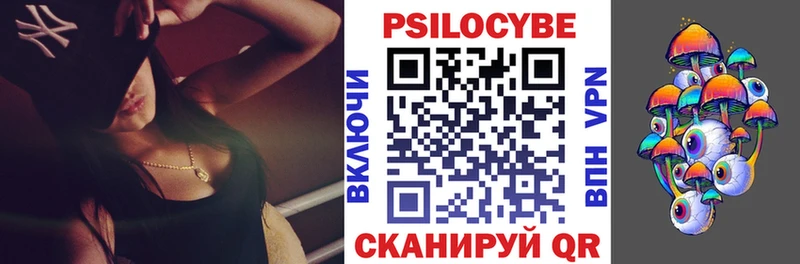 как найти наркотики  Ишим  МЕГА ТОР  Галлюциногенные грибы MAGIC MUSHROOMS 